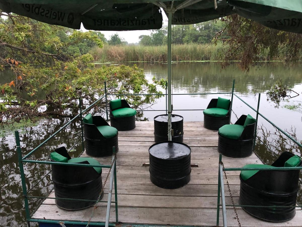 Wilpattu Green Cabin Achchamulai Eksteriør bilde