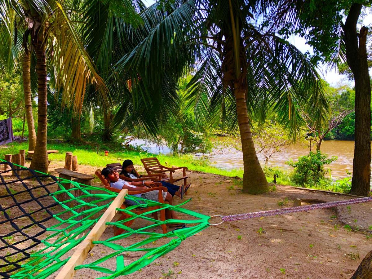 Wilpattu Green Cabin Achchamulai Eksteriør bilde