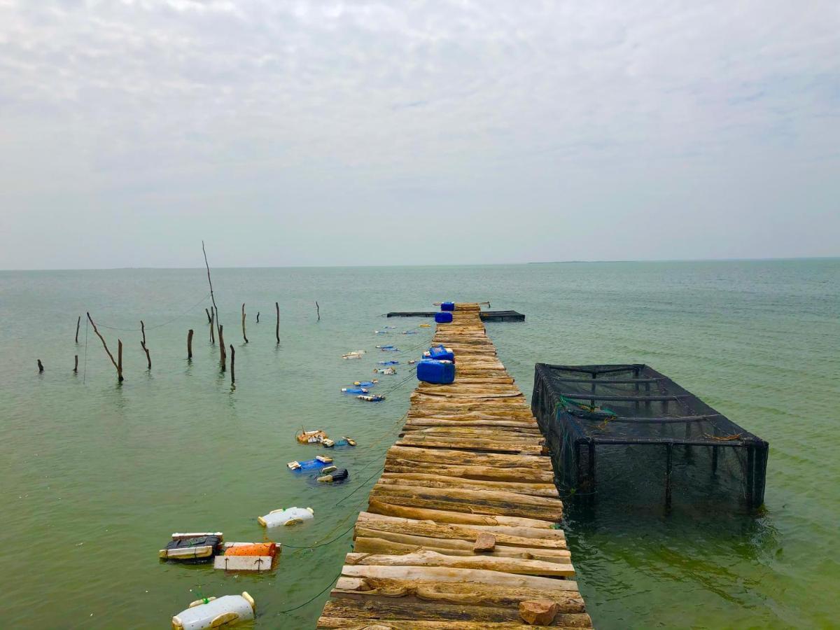 Wilpattu Green Cabin Achchamulai Eksteriør bilde