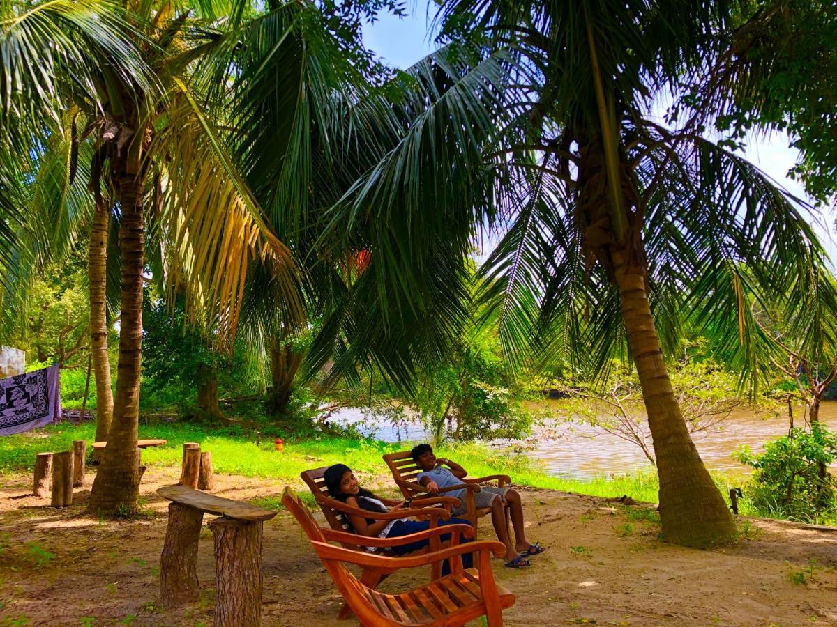 Wilpattu Green Cabin Achchamulai Eksteriør bilde