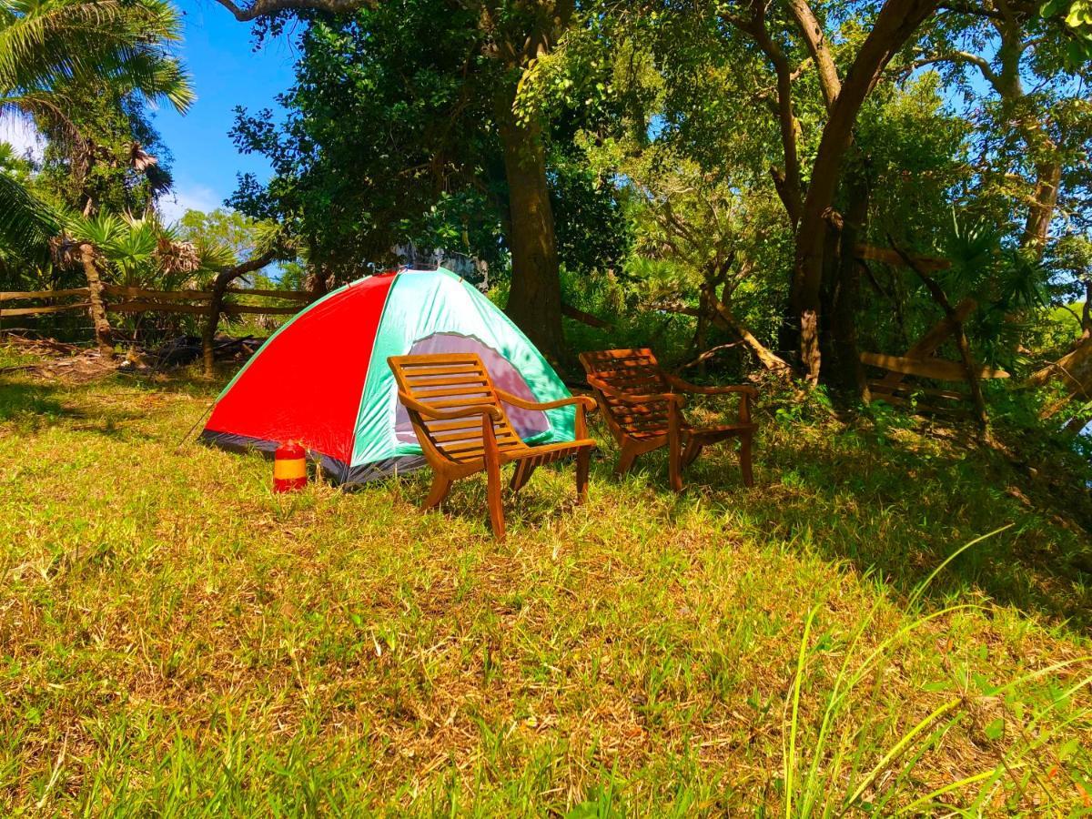 Wilpattu Green Cabin Achchamulai Eksteriør bilde