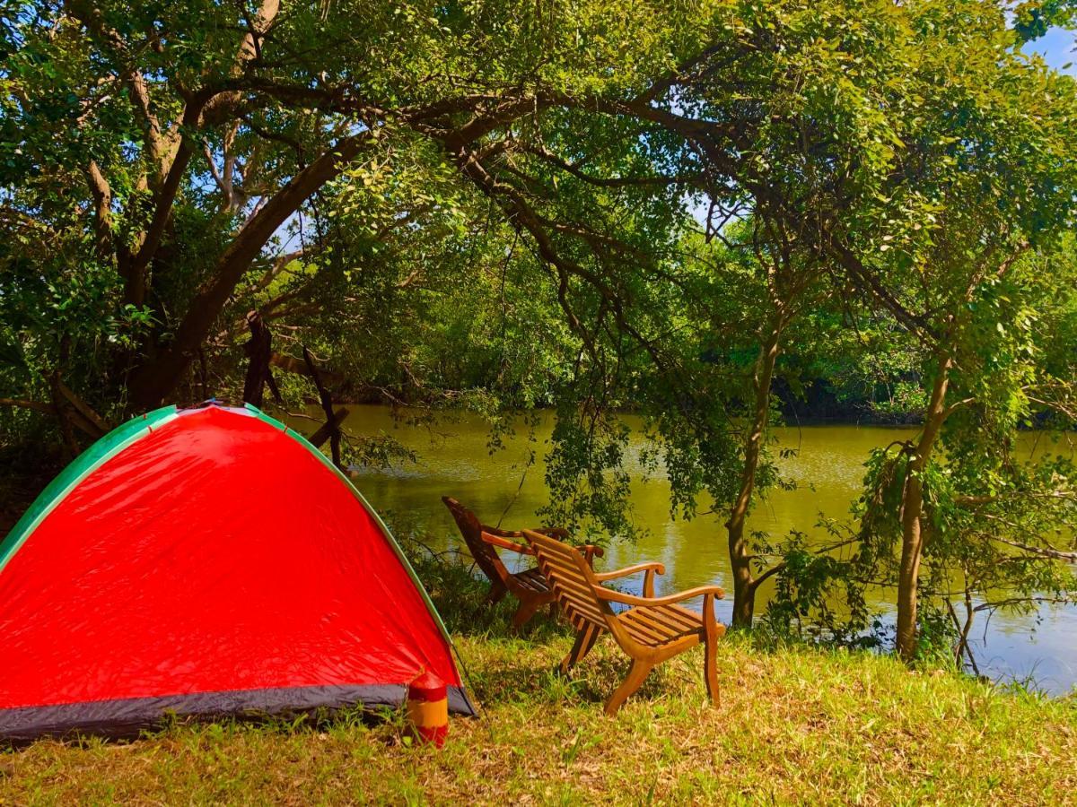 Wilpattu Green Cabin Achchamulai Eksteriør bilde