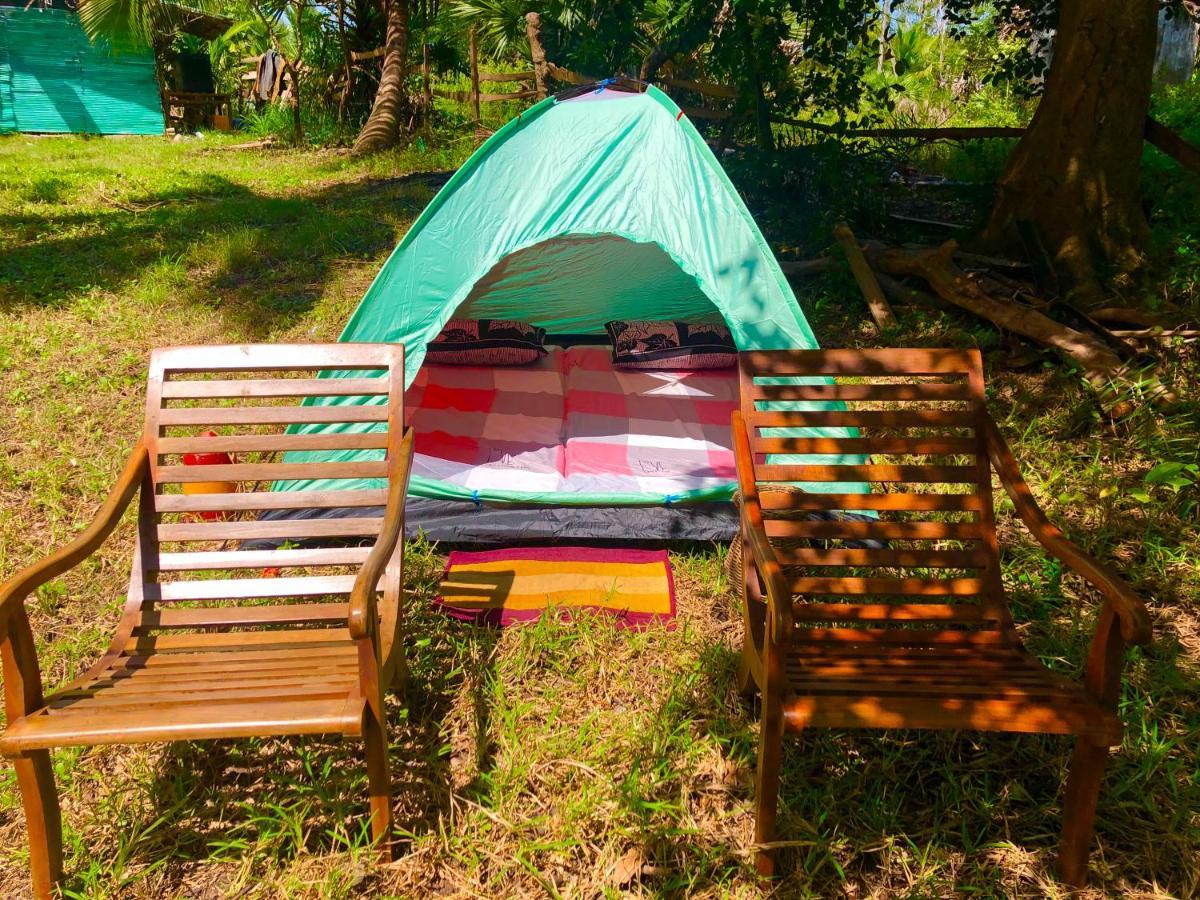 Wilpattu Green Cabin Achchamulai Eksteriør bilde