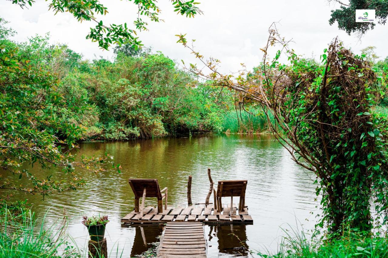 Wilpattu Green Cabin Achchamulai Eksteriør bilde