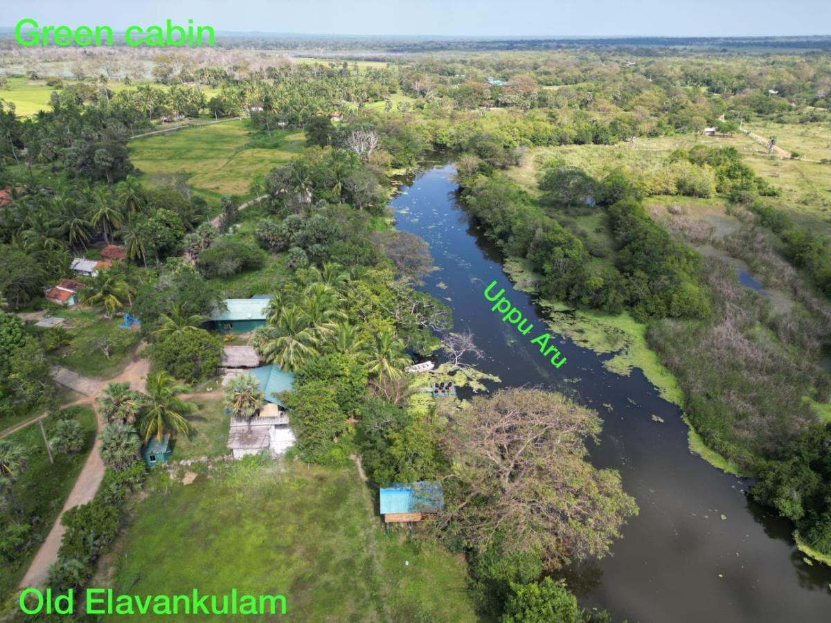 Wilpattu Green Cabin Achchamulai Eksteriør bilde