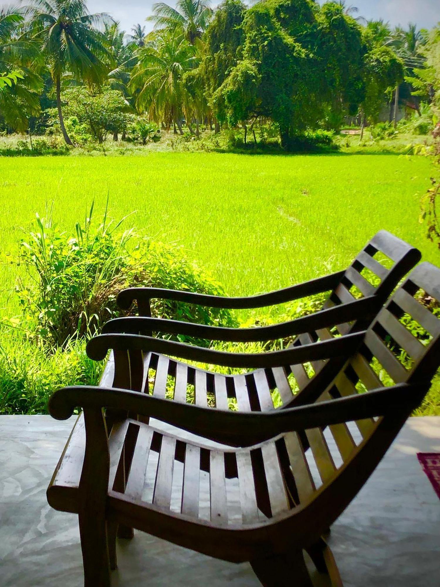 Wilpattu Green Cabin Achchamulai Eksteriør bilde